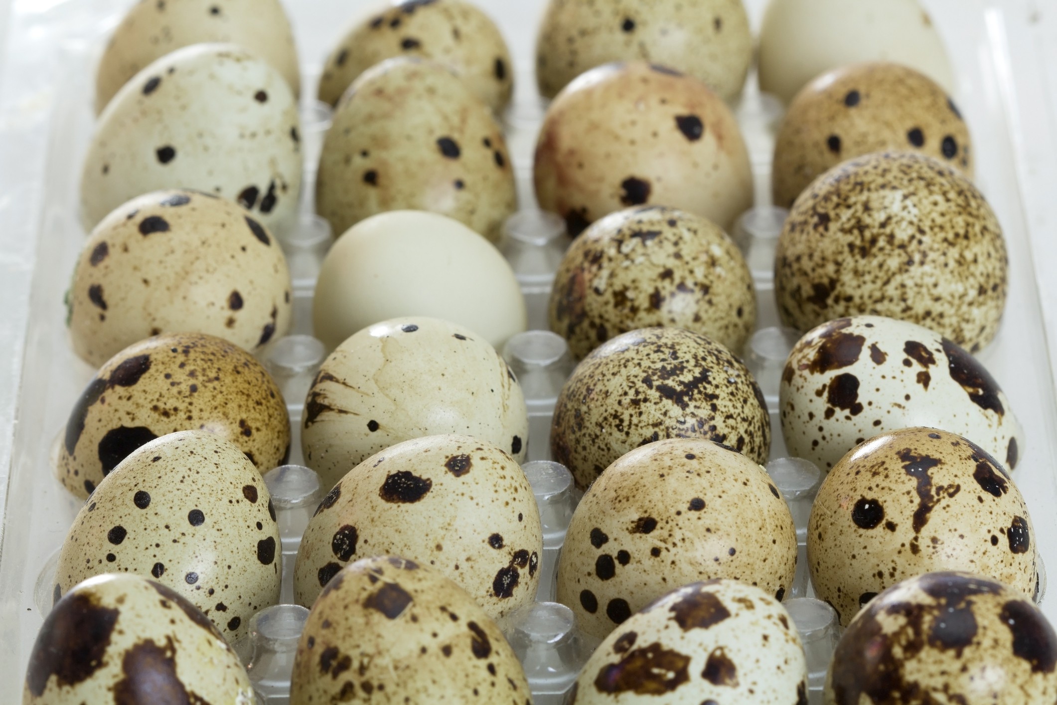 Cum se fierb corect și cum se curăță ouăle de prepeliță